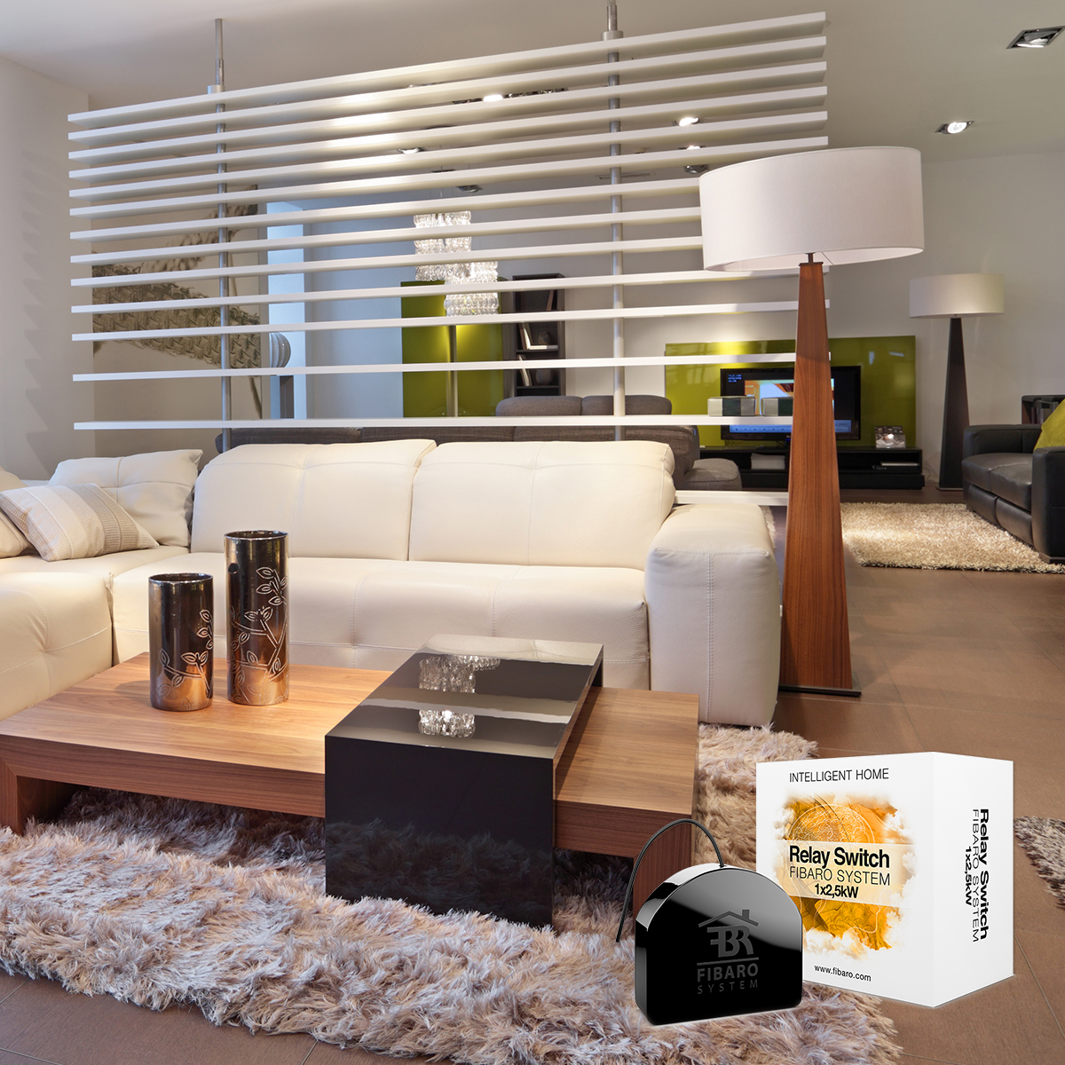 FIBARO Relay Switch 1 x 2,5 kW