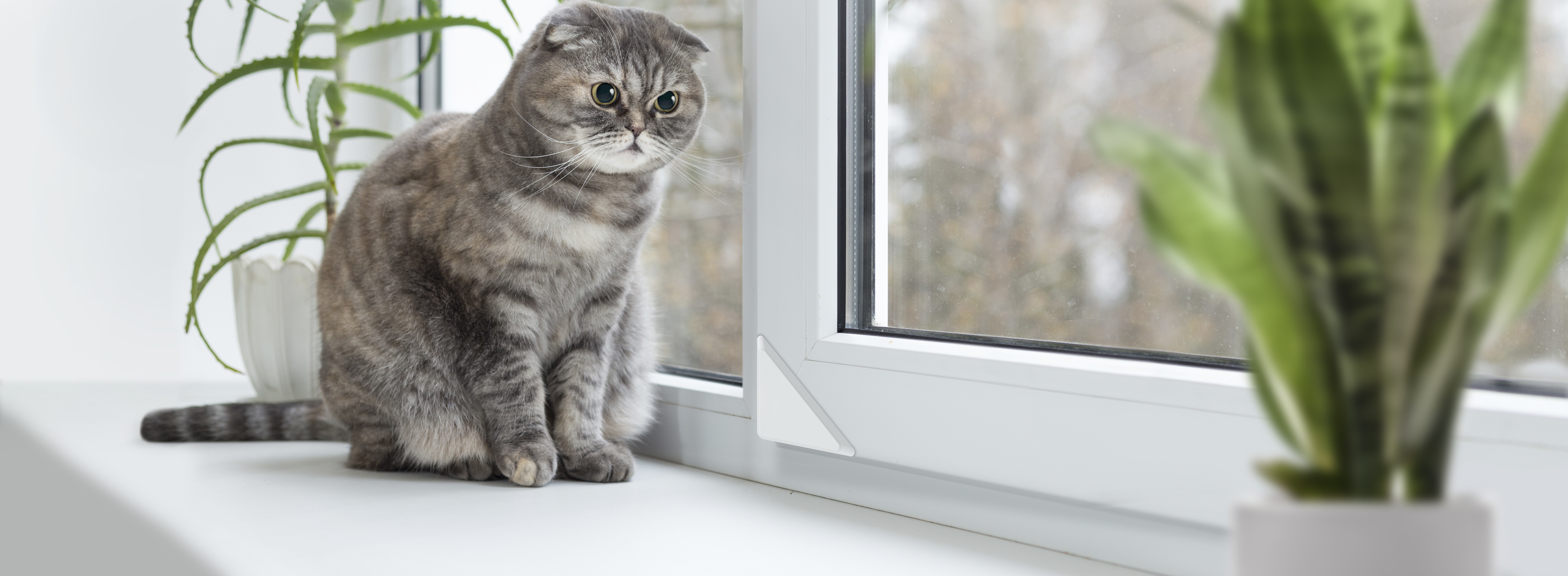 Aeotec Door/Window Sensor 6