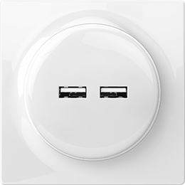 FIBARO Walli N USB Outlet