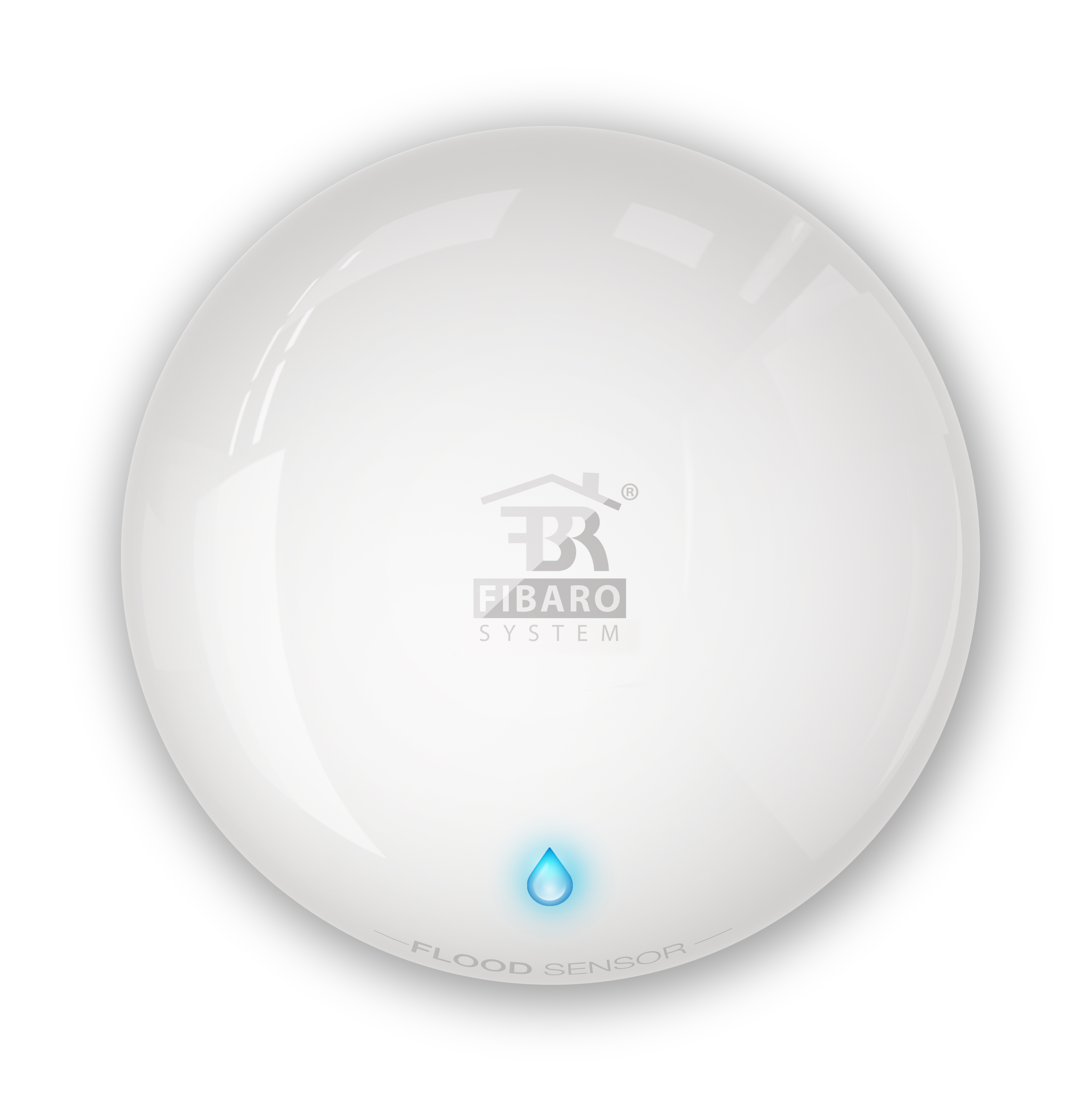 FIBARO Flood Sensor HomeKit