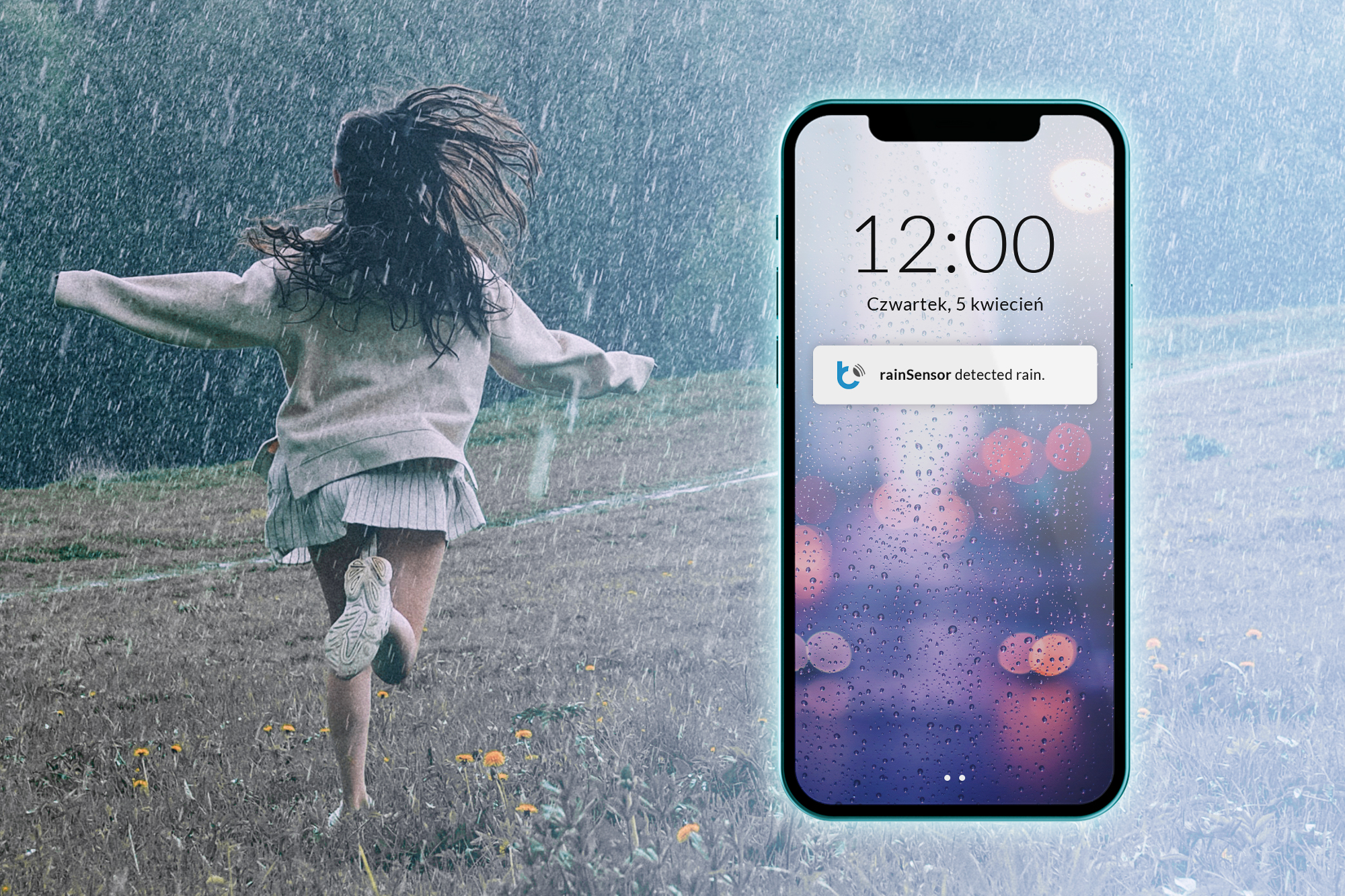 blebox rainSensor