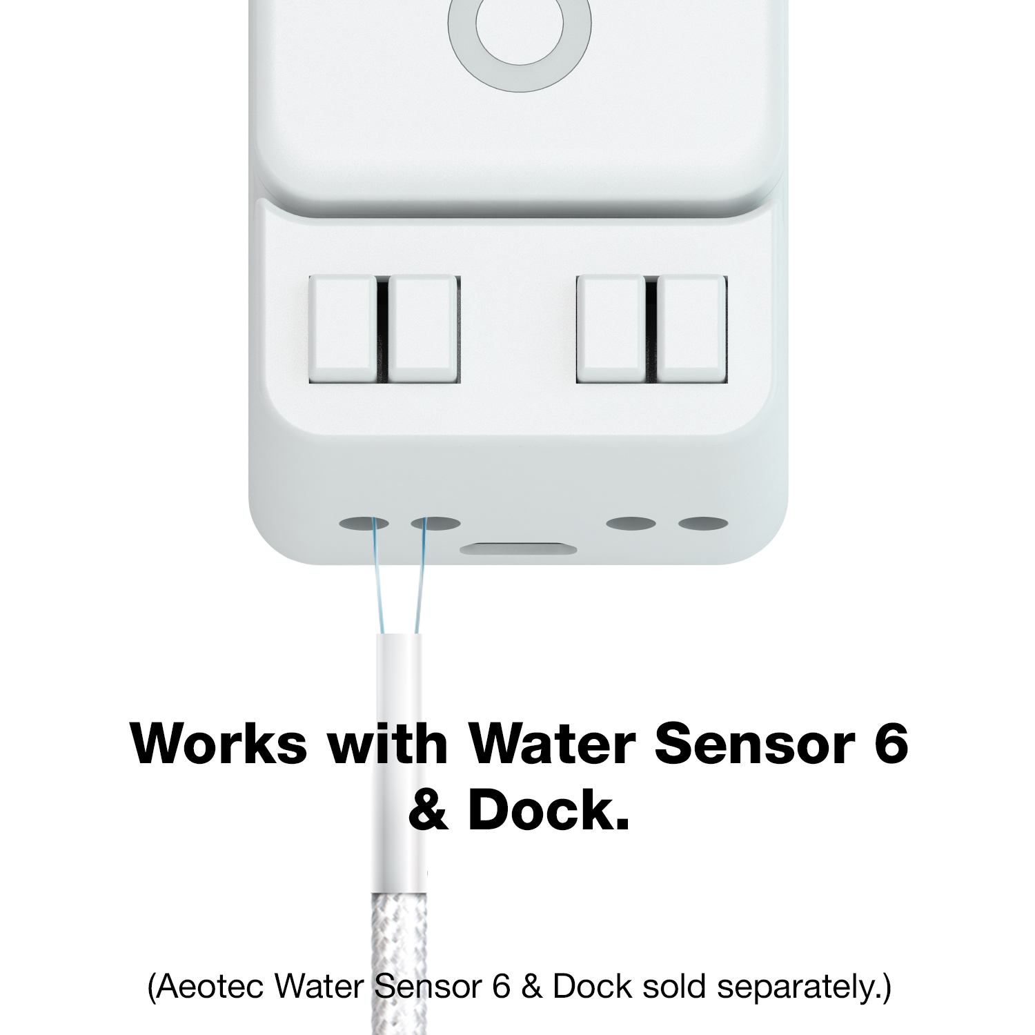 Aeotec Lasso Sensor für Wassersensor 6