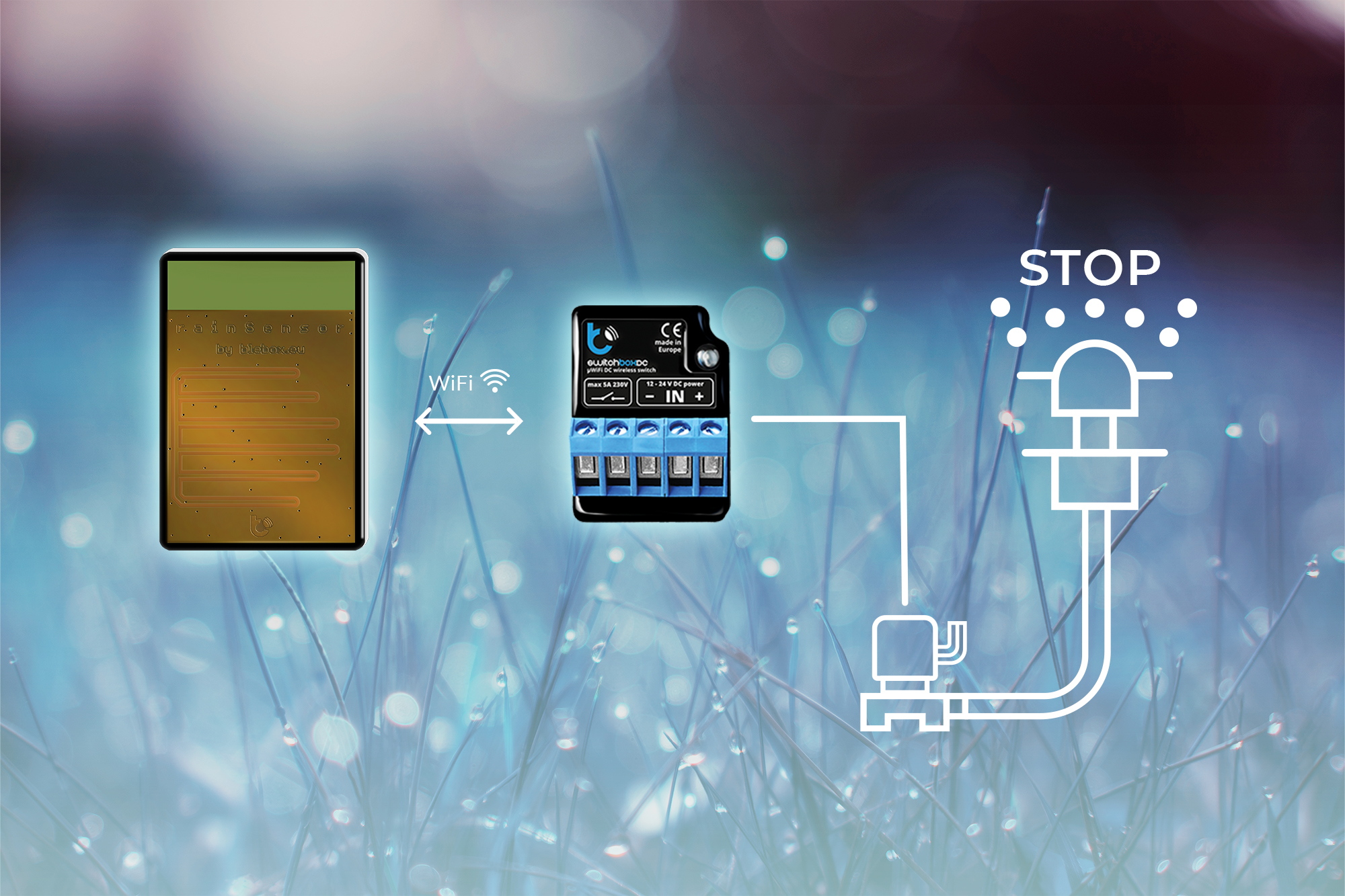 blebox rainSensor