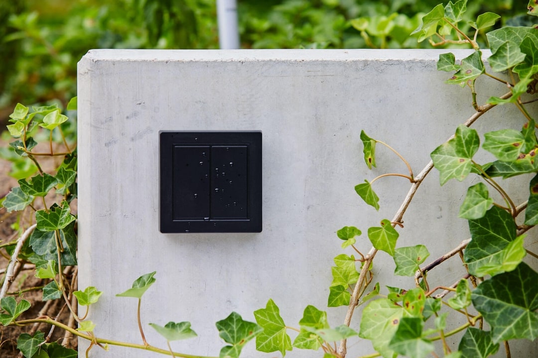 Senic Friends of Hue Outdoor Switch