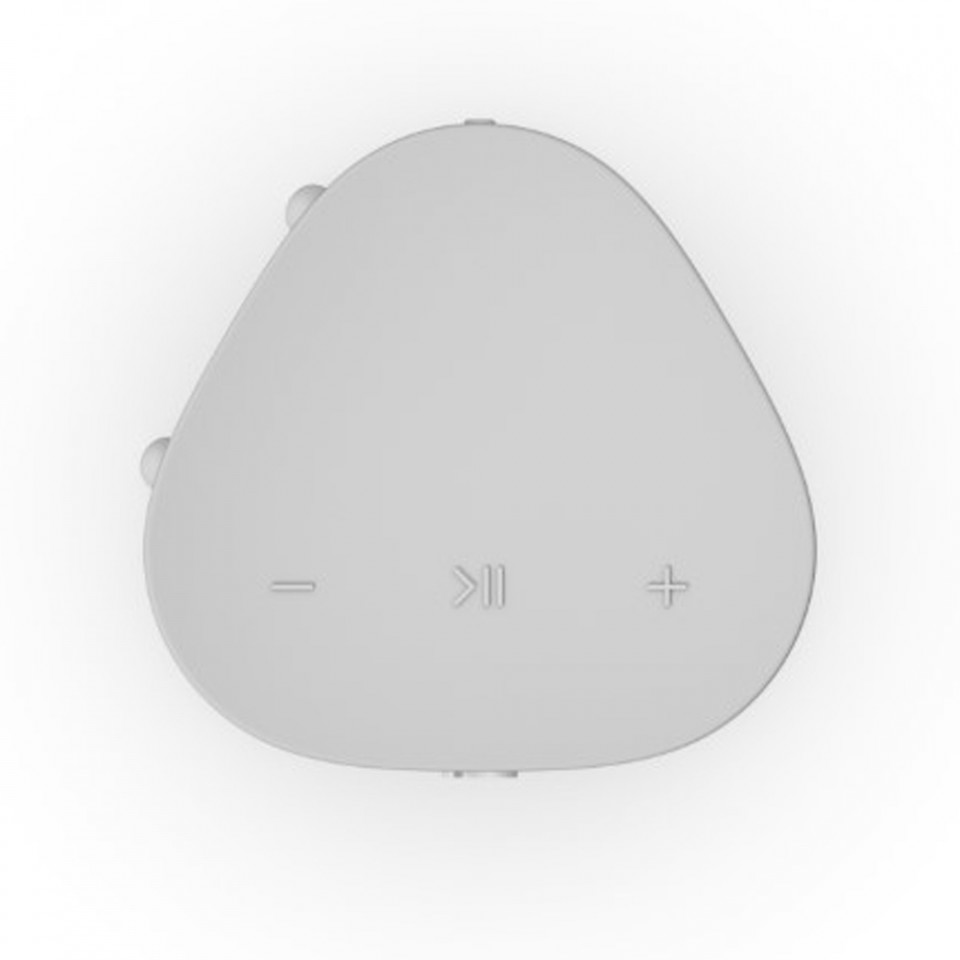 Sonos Roam SL